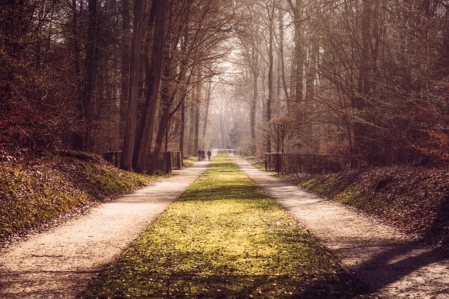 Parcul Bordei: Prezentare generală și aspecte unice ale Parcului Bordei din București.